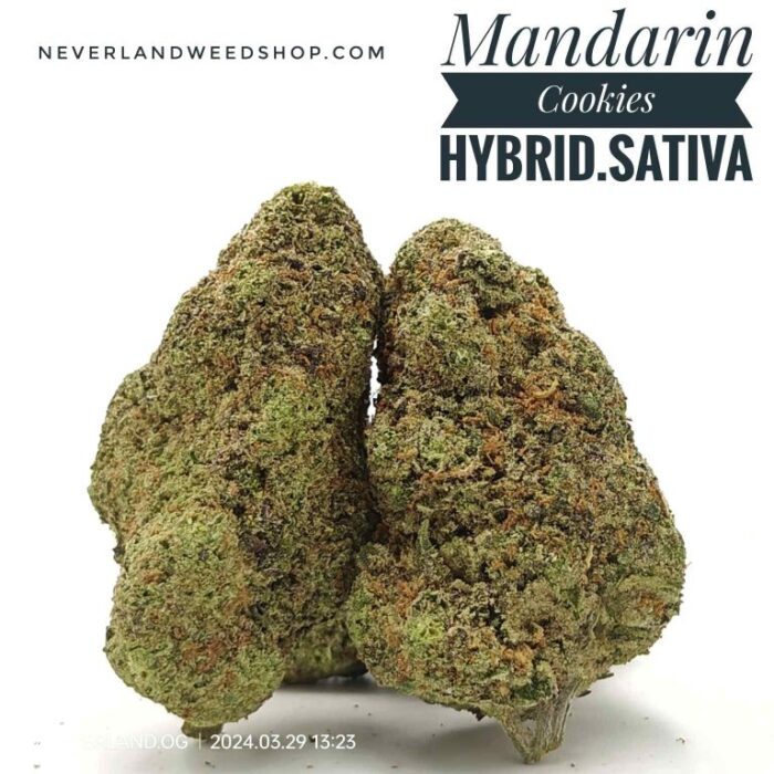 mandarin cookies strain