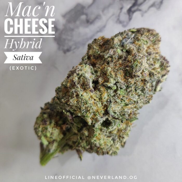 Mac and cheese strain