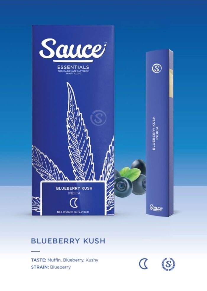 Sauce bar disposable THC vape