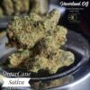 Sugar Cane Strain 4th best sativa indoor of Phuket cannabis cuo