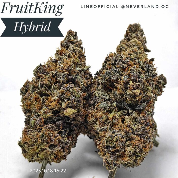 Fruit King Strain