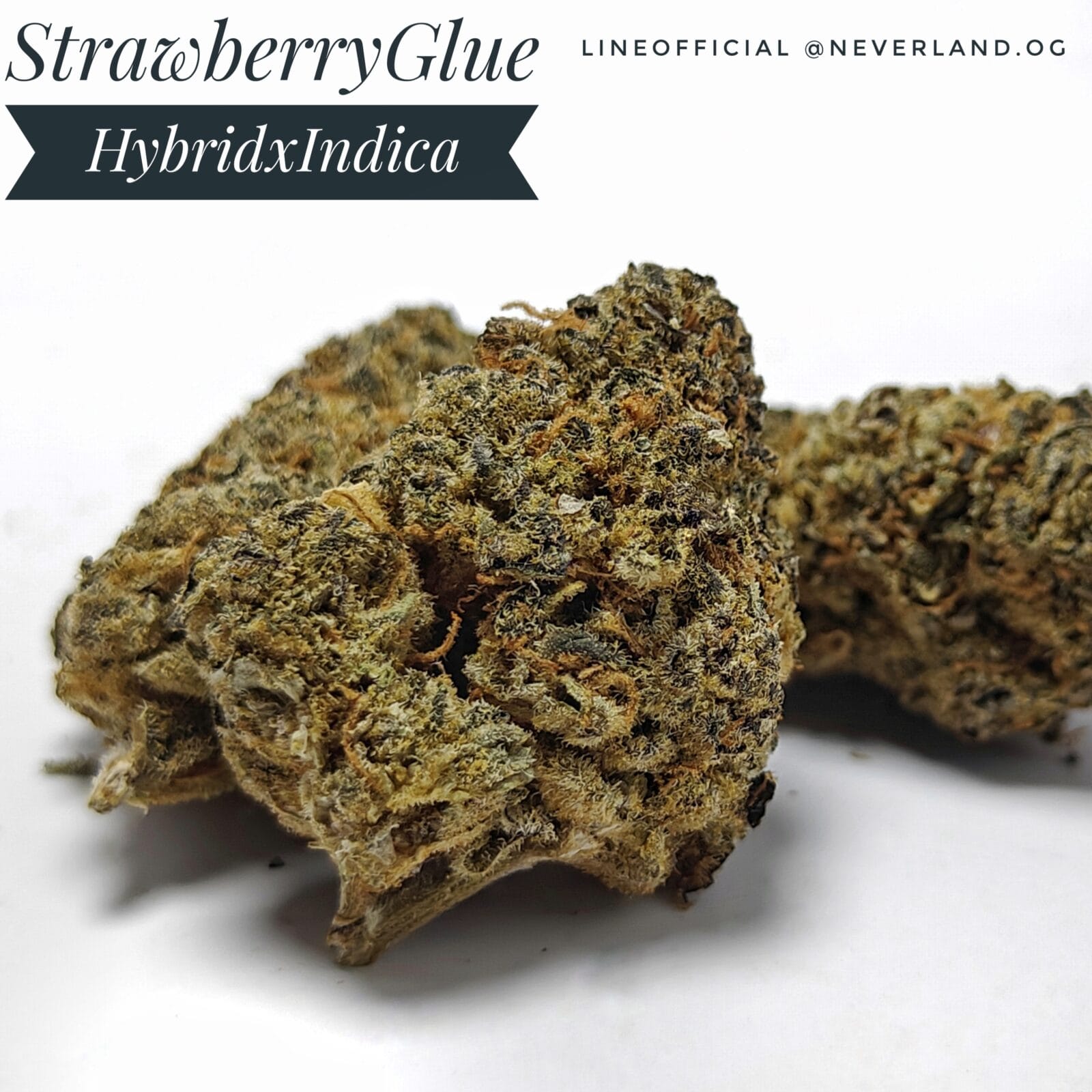 STRAWBERRY GLUE Strain | Hybrid Indica dominant Weed strain