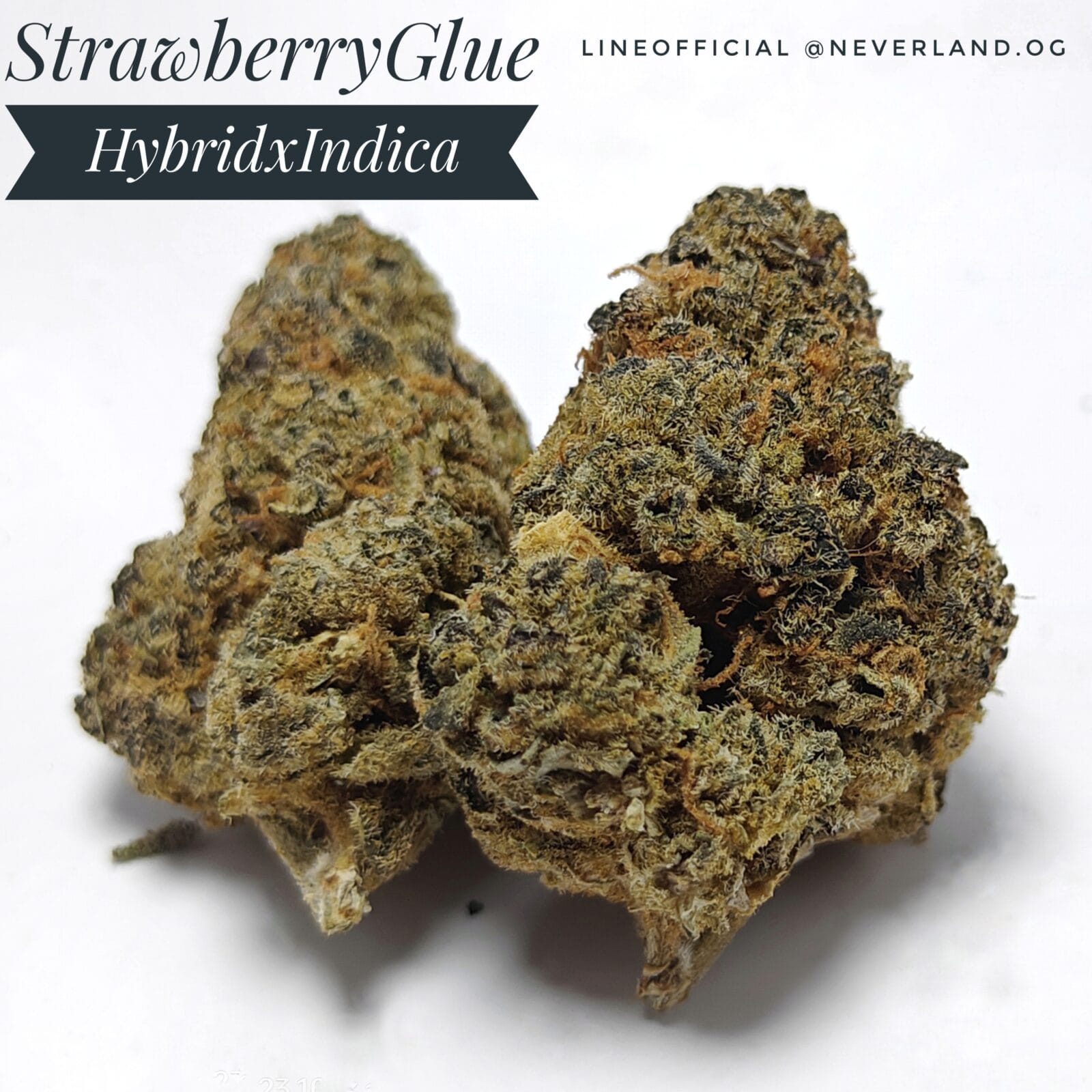 STRAWBERRY GLUE Strain | Hybrid Indica dominant Weed strain