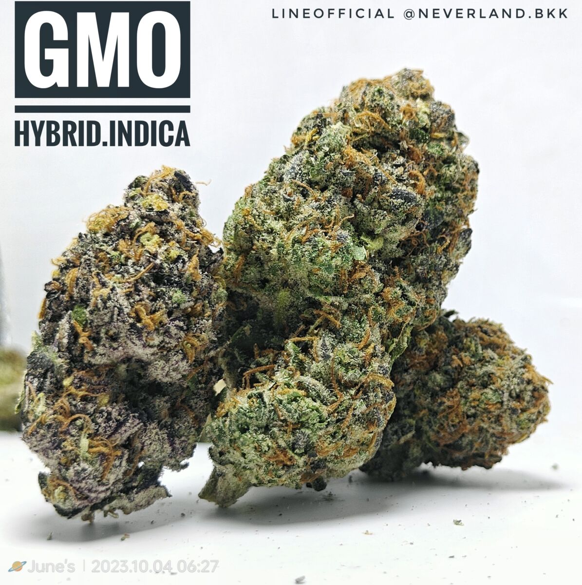 GMO Strain aka Garlic Cookies Weed Strain NEVERLAND.OG Bangkok Weed