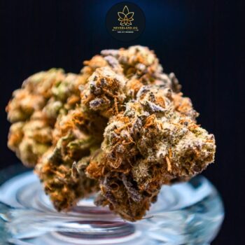 Cannabis Buds: Exotic & Top shelf Strain