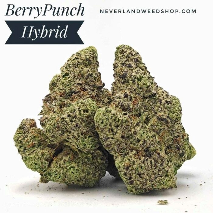 punch berry strain