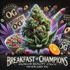 Breakfast of Champions strain